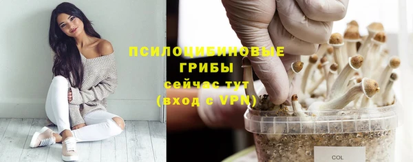 твердый Алексеевка