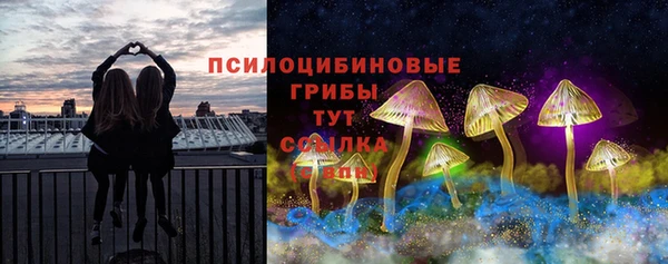 соль курить ск Алзамай