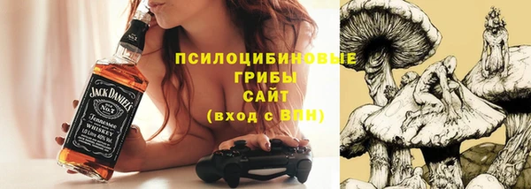 соль курить ск Алзамай